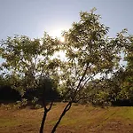 La Casa Rossa -dimora Di Campagna Montechiaro D'acqui