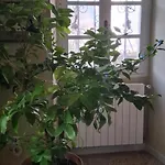 La Casa Rossa -dimora Di Campagna Dom wakacyjny *