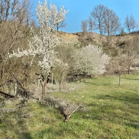 Casa de Férias La Casa Rossa -dimora Di Campagna