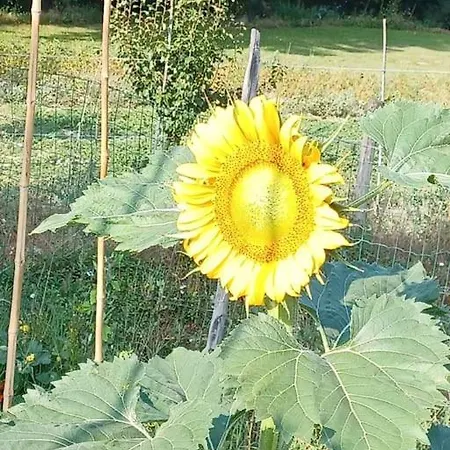 Casa de Férias La Casa Rossa -dimora Di Campagna *