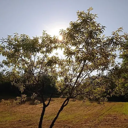 La Casa Rossa -dimora Di Campagna Montechiaro D'acqui