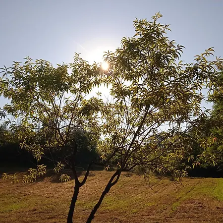 La Casa Rossa -dimora Di Campagna Hébergement de vacances Montechiaro D'acqui