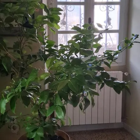 La Casa Rossa -dimora Di Campagna Casa de Férias *